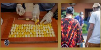 TRAFIC DE COCAÏNE : UN COUPLE DE PASSEURS PIÉGÉ À L’AÉROPORT