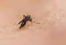 PALUDISME : UN MÉDICAMENT PENSÉ POUR LES NOURRISSONS