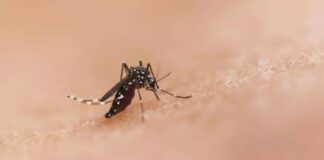 PALUDISME : UN MÉDICAMENT PENSÉ POUR LES NOURRISSONS