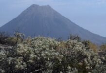 CETTE SEMAINE, DÉCOLLAGE POUR L’ÎLE DE FOGO, AU CAP-VERT