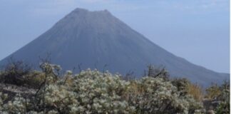 CETTE SEMAINE, DÉCOLLAGE POUR L’ÎLE DE FOGO, AU CAP-VERT