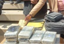 COCAÏNE/DEUX RÉSEAUX DÉMANTELÉS : CONAKRY & KAMSAR SOUS LE CHOC