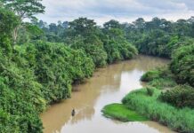 À LA DÉCOUVERTE DU PARC NATIONAL DE LA COMOÉ DE CÔTE D’IVOIRE