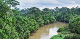 À LA DÉCOUVERTE DU PARC NATIONAL DE LA COMOÉ DE CÔTE D’IVOIRE