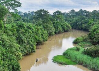 À LA DÉCOUVERTE DU PARC NATIONAL DE LA COMOÉ DE CÔTE D’IVOIRE