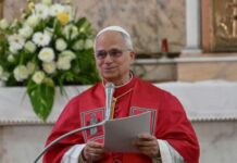 LE PAPE LÉON XIV SUR SA TOURNÉE AFRICAINE EN PAIX ET UNITÉ