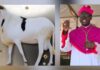 TABASKI : LE MESSAGE DE L’ARCHEVEQUE DE CONAKRY AUX MUSULMANS