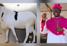 TABASKI : LE MESSAGE DE L’ARCHEVEQUE DE CONAKRY AUX MUSULMANS