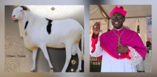 TABASKI : LE MESSAGE DE L’ARCHEVEQUE DE CONAKRY AUX MUSULMANS