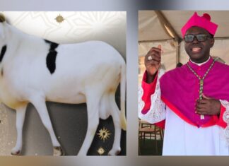 TABASKI : LE MESSAGE DE L’ARCHEVEQUE DE CONAKRY AUX MUSULMANS