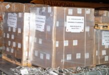 ÉLECTIONS 2026 : LES SPÉCIMENS DES BULLETINS DE VOTE OFFICIELLEMENT RÉCEPTIONNÉS
