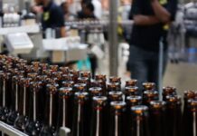 BUSINESS : LES INVESTISSEURS SONT DE RETOUR EN AFRIQUE