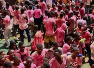ÉCOLE GUINÉENNE : LES FÊTES DE COULEURS JUGÉES NON PÉDAGOGIQUES PAR …