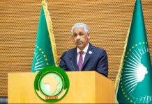 ASSEMBLÉES ANNUELLES DE LA BAD : LE 1ER TEST DE SIDI OULD TAH