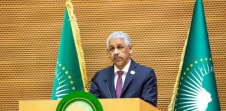 ASSEMBLÉES ANNUELLES DE LA BAD : LE 1ER TEST DE SIDI OULD TAH