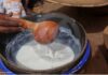 “LAIT DE VACHE : MIRACLE BLANC OU ALIMENT INADAPTÉ?”