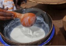 “LAIT DE VACHE : MIRACLE BLANC OU ALIMENT INADAPTÉ?”