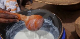 “LAIT DE VACHE : MIRACLE BLANC OU ALIMENT INADAPTÉ?”
