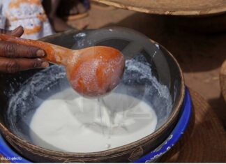 “LAIT DE VACHE : MIRACLE BLANC OU ALIMENT INADAPTÉ?”