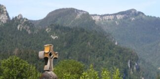 LÉON XIV RENFORCE LE RÔLE DES ÉVÊQUES FACE AUX COMMUNAUTÉS RELIGIEUSES