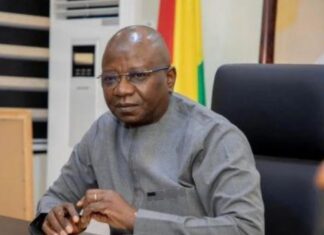 DE L’ALUMINE À L’ALUMINIUM : LA GUINÉE VEUT BOUCLER LA MONTÉE EN GAMME DE SA BAUXITE