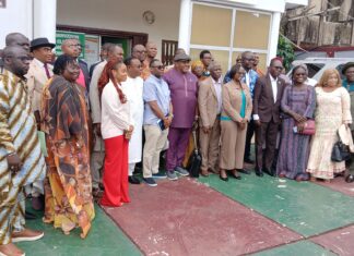 MÉDIATION SUR LE DIFFÉREND FRONTALIER GUINÉE-SIERRA LEONE : LA CEDEAO AU CNOSCG ?