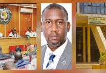 AFFAIRE ALIOU BAH/LE DILEMME : CONAKRY FACE À L’ORDRE DE LA CEDEAO