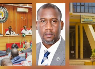 AFFAIRE ALIOU BAH/LE DILEMME : CONAKRY FACE À L’ORDRE DE LA CEDEAO