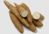 MANIOC SOUS LA LOUPE : ENQUÊTE SUR UN DANGER SANITAIRE MÉCONNU