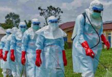 ALERTE EBOLA EN RDC/OUGANDA : LA GUINÉE SUR LE QUI-VIVE