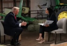 INTERVIEW/TRUMP EN RAGE : “TU ES SOIT CORROMPUE, SOIT DÉBILE”