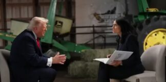 INTERVIEW/TRUMP EN RAGE : “TU ES SOIT CORROMPUE, SOIT DÉBILE”