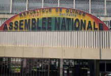 GUINÉE : LA DÉMOCRATIE EN TEST