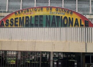 GUINÉE : LA DÉMOCRATIE EN TEST