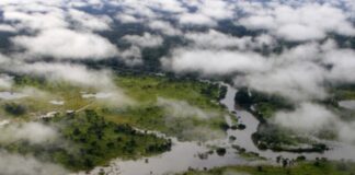 CE WEEK-END, À LA DÉCOUVERTE DU PARC NATIONAL DE LA GARAMBA/RDC