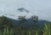 CE DIMANCHE, NOUS VOUS FAISONS DÉCOUVRIR LE MONT CAMEROUN