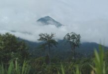 CE DIMANCHE, NOUS VOUS FAISONS DÉCOUVRIR LE MONT CAMEROUN