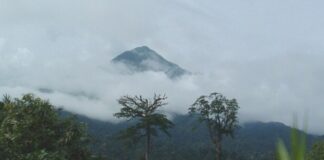 CE DIMANCHE, NOUS VOUS FAISONS DÉCOUVRIR LE MONT CAMEROUN