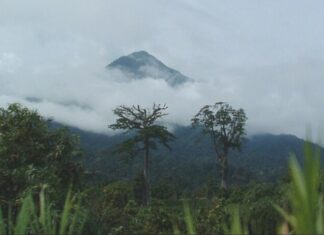 CE DIMANCHE, NOUS VOUS FAISONS DÉCOUVRIR LE MONT CAMEROUN