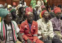 CANNABIS ET CULTE : LA HAUTE COUR FACE À UN DILEMME (KENYA)