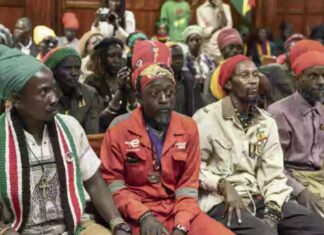 CANNABIS ET CULTE : LA HAUTE COUR FACE À UN DILEMME (KENYA)