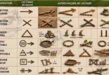 SCOUTISME : CES SIGNES SECRETS QUI SAUVENT (ET PROTÈGENT) LES BALADES EN FORÊT