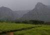 À LA DÉCOUVERTE DE LA CHAÎNE MONTAGNES DE MULANJE DU MALAWI