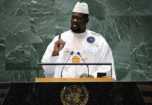 GUINÉE: UN GOUVERNEMENT DE CONTINUITÉ ET DE RENOUVELLEMENT