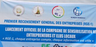 RGE-1 : L’ÉTAT GUINÉEN À LA CONQUÊTE DE DONNÉES FIABLES SUR LES ENTREPRISES