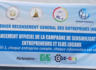 RGE-1 : L’ÉTAT GUINÉEN À LA CONQUÊTE DE DONNÉES FIABLES SUR LES ENTREPRISES