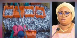 LE POISSON REVIENDRA-T-IL EN ABONDANCE SUR LES ÉTALS GUINÉENS ?