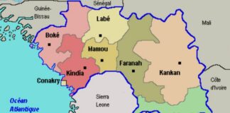 NOUVEAU DÉCOUPAGE : LA GUINÉE PASSE À 10 RÉGIONS ET 44 PRÉFECTURES