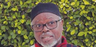 IMPUNITÉ DES PUISSANTS : ALIOUNE TINE APPELLE À SAUVER LA CPI