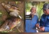 JUILLET 2012 – SEPTEMBRE 2026 : LA SAGA DES ESCARGOTS DE L’ONCLE CHARLES